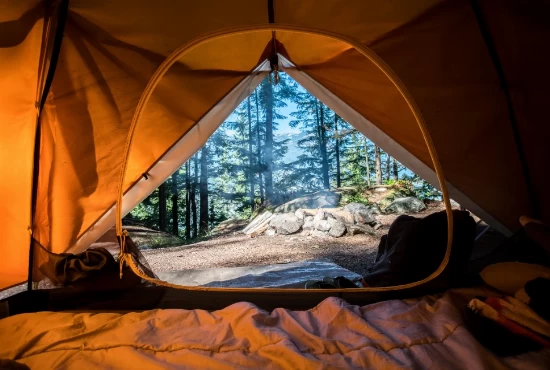 Discovering Opp, AL: Top Attractions and Activities for an Unforgettable Visit