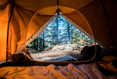 Discovering Opp, AL: Top Attractions and Activities for an Unforgettable Visit